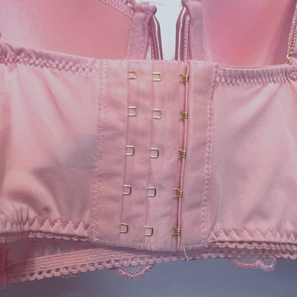 Daisey Fuentes Lace Padded Bra-Pale Pastel Peach Color-Wire V Front-40C-Gold - Picture 13 of 15